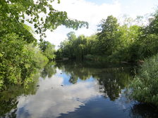 Lerchenberger Teich