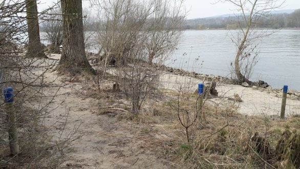 Naturschutzgebiet Mombacher Rheinufer