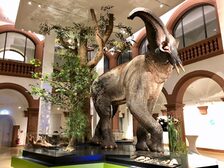 Urelefant im Naturhistorischen Museum