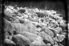 Das Felsenmeer im Odenwald