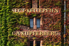 Bildergalerie Kupferbergmuseum Außenansicht der Sektkellerei Kupferberg