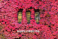 Bildergalerie Kupferbergmuseum Rot gefärbter Wein an der Hauswand der Sektkellerei