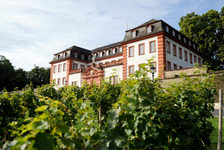 Bildergalerie Zitadelle Weinberg vor der Zitadelle Mainz Auf dem Jakobsberg thront die barocke Festungsanlage.