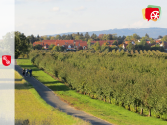 Blick auf Mainz Drais über die Felder