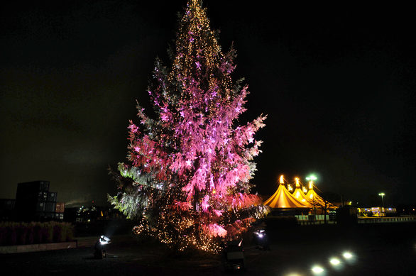 Christbaum vor der Kunsthalle Mainz