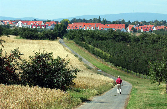 Unterwegs durch die Draiser Senke