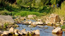 Wasserlauf im Gonsbachtal