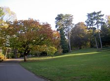 Stadtpark Mainz