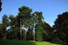 Stadtpark Mainz