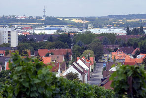 Hechtsheim von oben © Landeshauptstadt Mainz