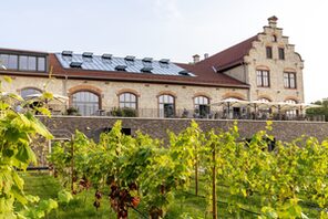 Ingelheimer Winzerkeller und Weinreben © Andrea Enderlein